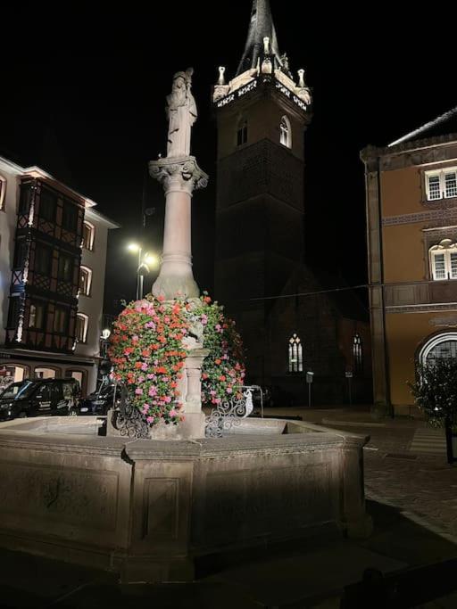 Le Nid Cosy D'Obernai /2Min Centre Ville/Parking Eksteriør bilde