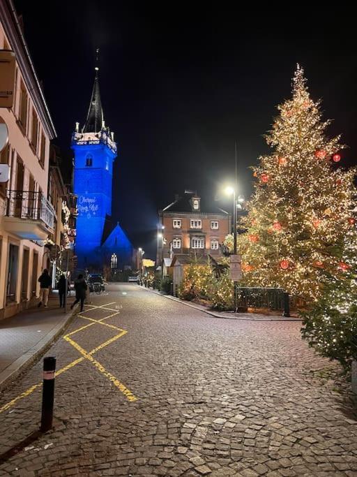 Le Nid Cosy D'Obernai /2Min Centre Ville/Parking Eksteriør bilde