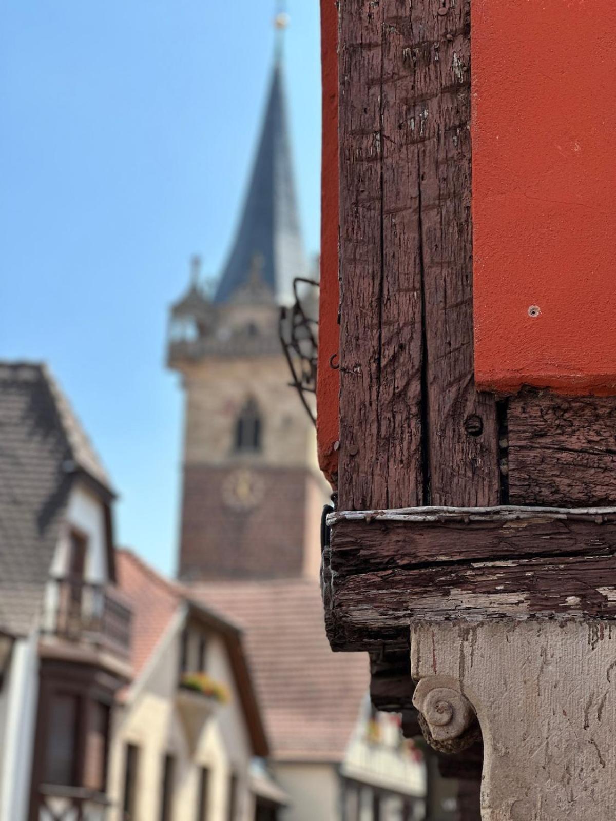 Le Nid Cosy D'Obernai /2Min Centre Ville/Parking Eksteriør bilde