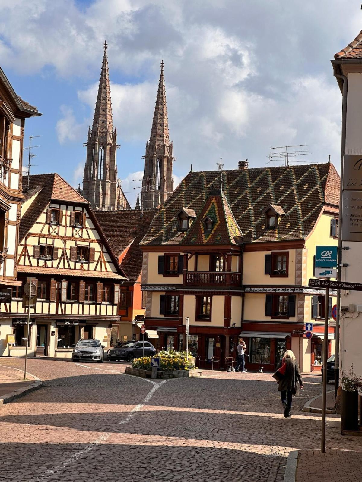 Le Nid Cosy D'Obernai /2Min Centre Ville/Parking Eksteriør bilde
