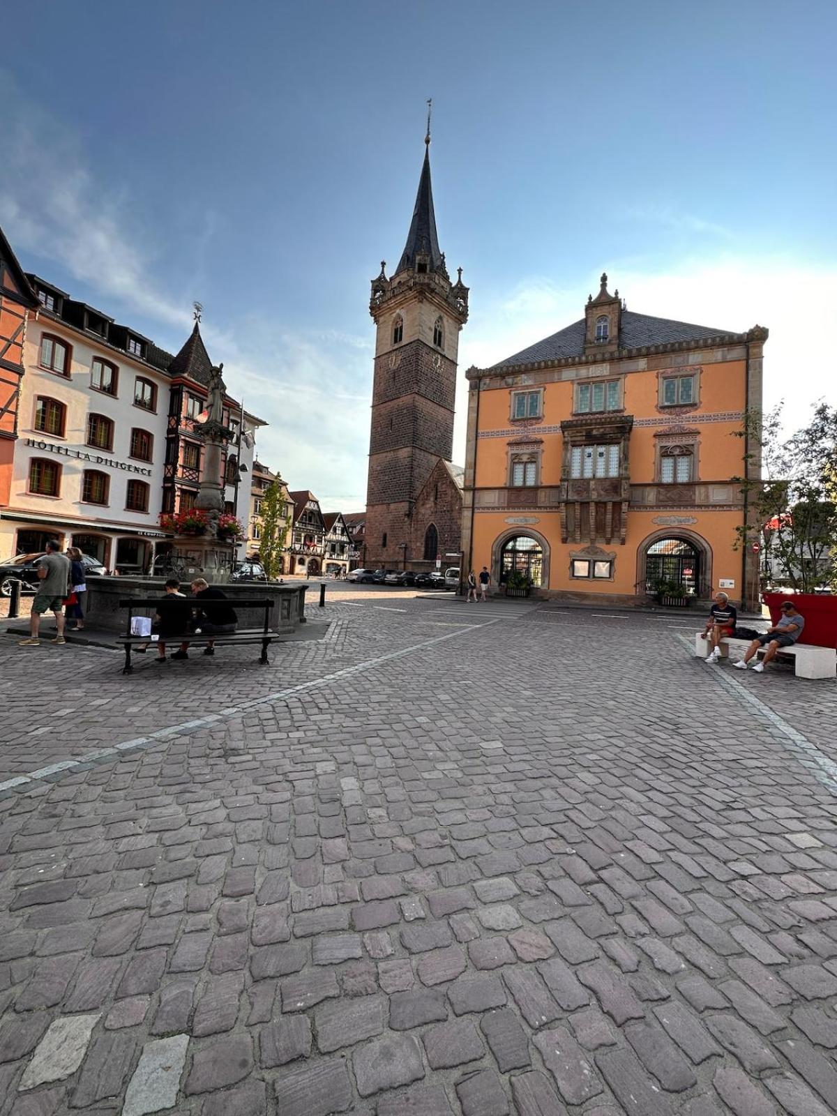 Le Nid Cosy D'Obernai /2Min Centre Ville/Parking Eksteriør bilde