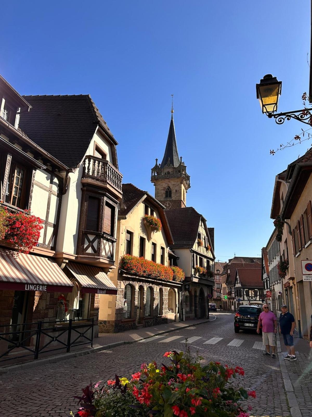 Le Nid Cosy D'Obernai /2Min Centre Ville/Parking Eksteriør bilde