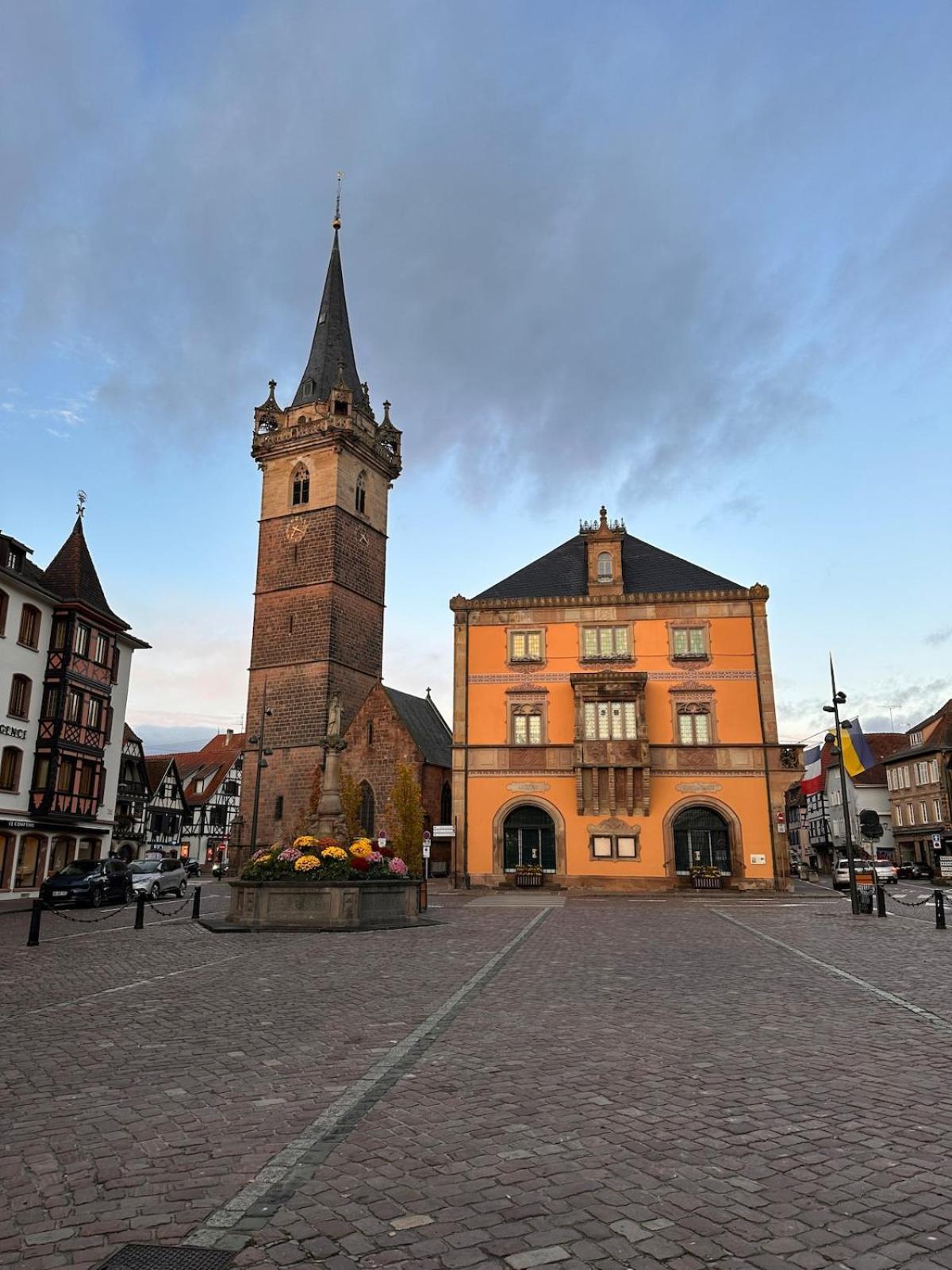 Le Nid Cosy D'Obernai /2Min Centre Ville/Parking Eksteriør bilde